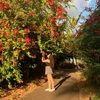rebekah_wood3